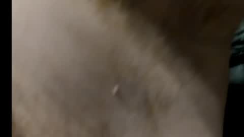 Snapshot of harry_banana chatting on 01/27/25, 08:29 harry_banana online show from 01/27/25, 08:29