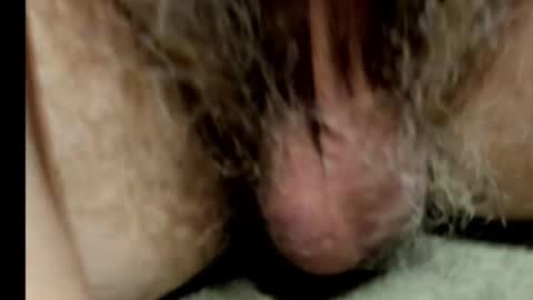 Snapshot of harry_banana chatting on 02/01/25, 08:50 harry_banana online show from 02/01/25, 08:50