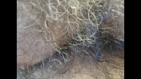 Snapshot of harry_banana chatting on 09/11/25, 01:11 harry_banana online show from 09/11/25, 01:11