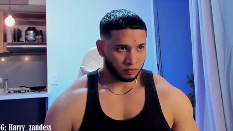 Harry Zandes online show from 02/13/25, 04:22