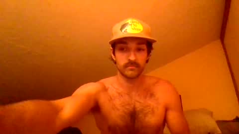 Snapshot of harrycheeks chatting on 06/29/26, 06:41 harrycheeks online show from 06/29/26, 06:41