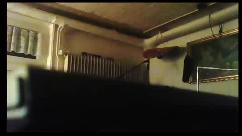 Snapshot of hartwichser1 chatting on 12/08/24, 03:24 hot n nasty online show from 12/08/24, 03:24