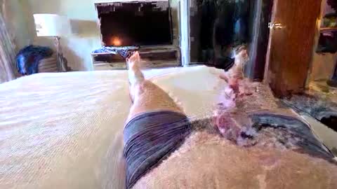 havebeardwilltravel3250 online show from 01/15/26, 07:28