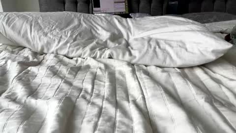 Snapshot of hawt_ass_milf chatting on 03/03/25, 04:46 Amber - or vip online show from 03/03/25, 04:46