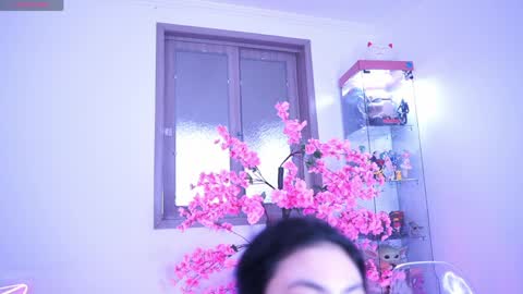  Hayami Dai  online show from 04/03/26, 10:19