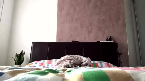 Hayle online show from 10/22/25, 08:36