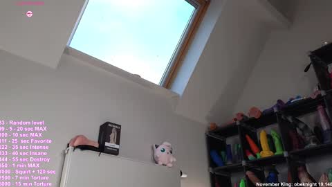 Haylee online show from 11/18/25, 08:41