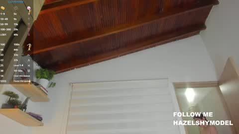 Snapshot of hazel_shy chatting on 12/10/24, 09:33 Im Hazel online show from 12/10/24, 09:33