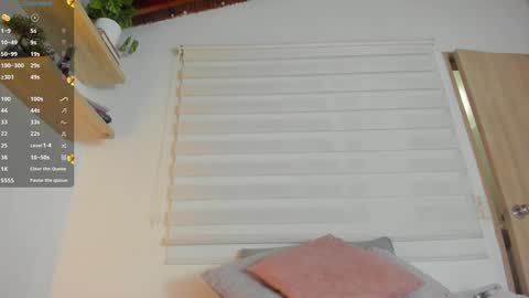 Snapshot of hazel_shy chatting on 12/13/24, 10:34 Im Hazel online show from 12/13/24, 10:34