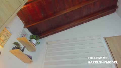 Snapshot of hazel_shy chatting on 12/22/24, 03:00 Im Hazel online show from 12/22/24, 03:00