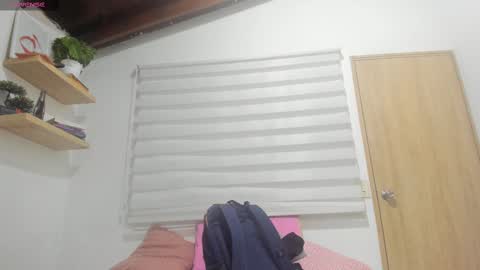 Snapshot of hazel_shy chatting on 03/04/25, 08:05 Im Hazel online show from 03/04/25, 08:05