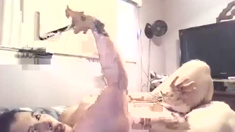 hazelbasil32728 online show from 10/30/25, 07:25