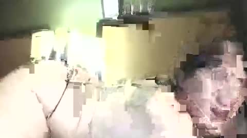 hazelbasil32728 online show from 10/31/25, 11:39