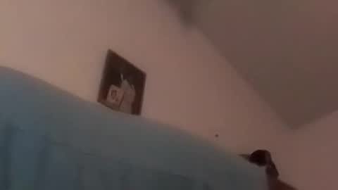 Snapshot of hbdj2164 chatting on 12/17/24, 10:34 hbdj2164 online show from 12/17/24, 10:34