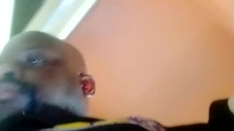 Snapshot of hbdj2164 chatting on 02/23/25, 03:40 hbdj2164 online show from 02/23/25, 03:40