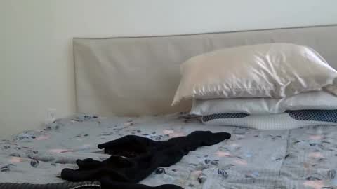 heatwavee online show from 02/02/25, 08:08