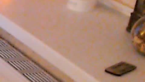 Snapshot of heaven_chloe chatting on 01/04/25, 02:14 Heaven girl online show from 01/04/25, 02:14