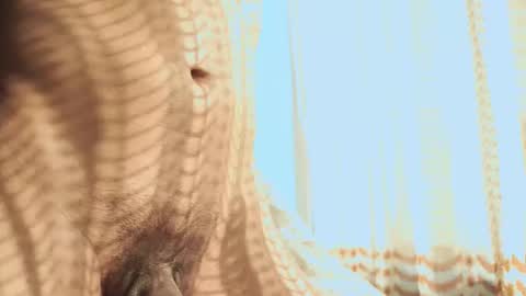 Helio online show from 02/03/26, 11:32