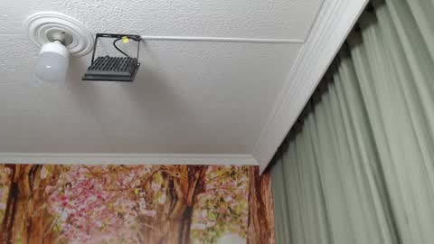 Hellen online show from 01/23/25, 09:07