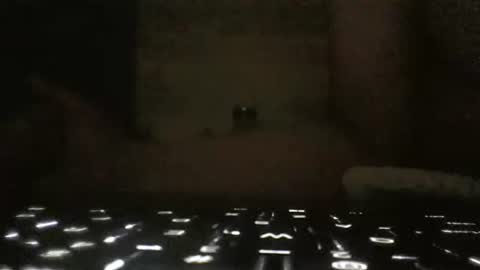 WhoMe online show from 02/06/25, 09:43