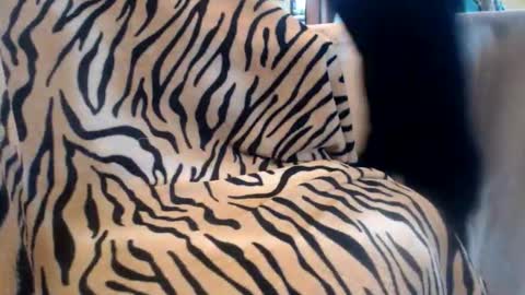 Helvell online show from 02/13/26, 10:44