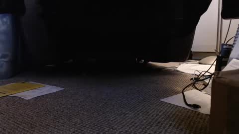 henryjxxx online show from 01/12/25, 04:18