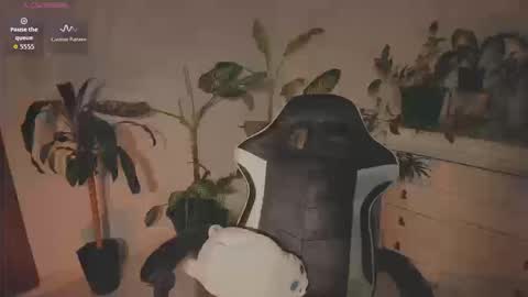 Snapshot of hera_069 chatting on 09/20/25, 03:02 Hello I am Valentina independent Colombian model I love sensuality and pleasure welcome online show from 09/20/25, 03:02