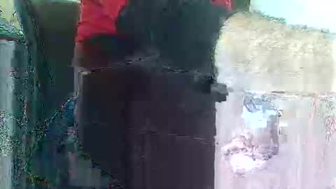 Snapshot of herbee510 chatting on 12/20/25, 09:22 herbee510 online show from 12/20/25, 09:22