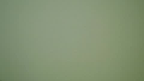 Snapshot of herbstenden chatting on 12/30/24, 10:01 John Pearl online show from 12/30/24, 10:01