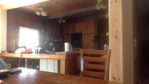 Jason online show from 02/26/26, 06:51