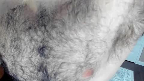 Wade Biggs online show from 01/25/25, 02:15