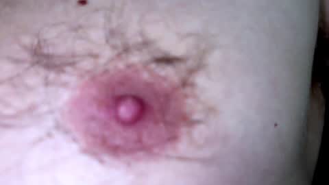 Arnold online show from 12/07/24, 09:22