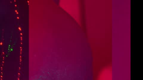 Alina online show from 12/08/24, 07:00