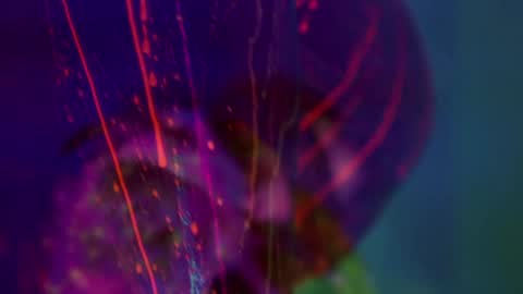 Alina online show from 01/14/26, 06:46