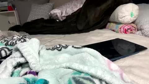 Bondage blondiie online show from 06/05/26, 04:30