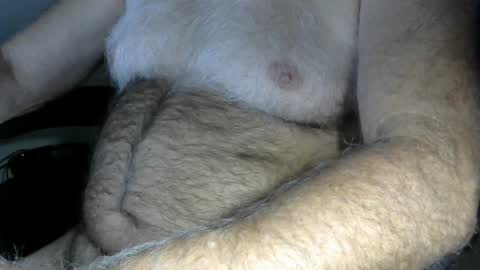 Snapshot of higgins11 chatting on 10/09/25, 12:52 higgins11 online show from 10/09/25, 12:52