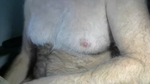 Snapshot of higgins11 chatting on 12/17/25, 03:34 higgins11 online show from 12/17/25, 03:34