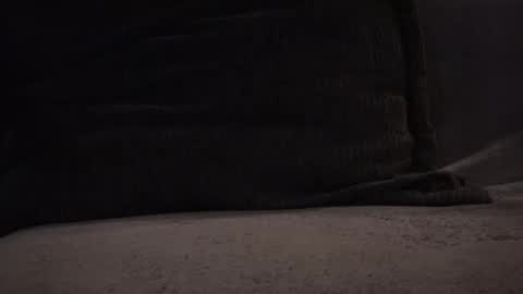 Snapshot of hikinks chatting on 11/12/25, 03:18 hikinxxx online show from 11/12/25, 03:18