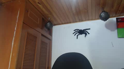 hilaril18 online show from 10/28/25, 12:47