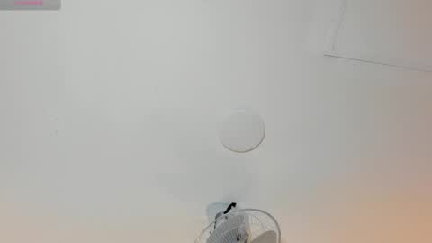 hilary_tailor online show from 01/12/26, 11:04