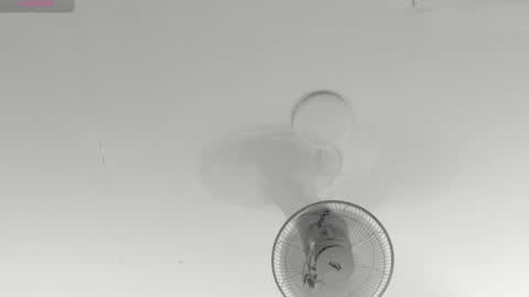 hilary_tailor online show from 01/15/26, 11:04