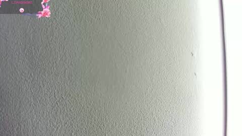 Hilary Thomsom online show from 01/10/26, 11:56