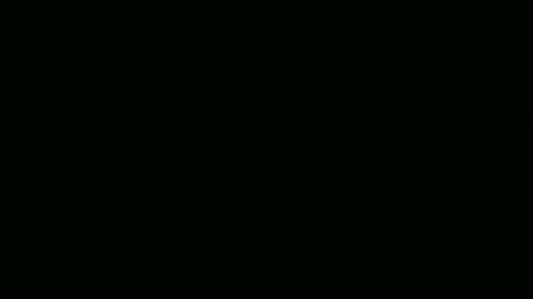 hofnung online show from 04/02/26, 01:09