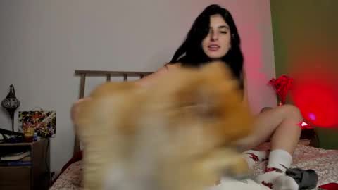 hollyshit_ online show from 12/24/24, 03:49