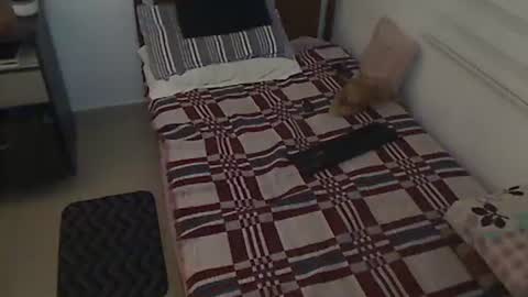 Holofernes45gil online show from 03/28/26, 07:30