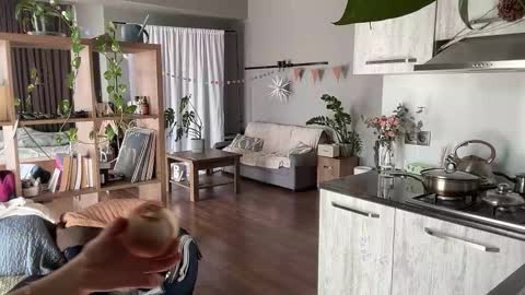 dori not holy get my tg channel with link from description under last photo online show from 03/08/26, 10:08