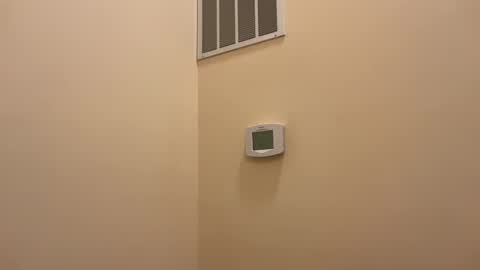 honey_man14 online show from 02/19/25, 06:32