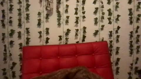 Snapshot of honeyy_89 chatting on 11/28/25, 04:37 honeyyy89 online show from 11/28/25, 04:37