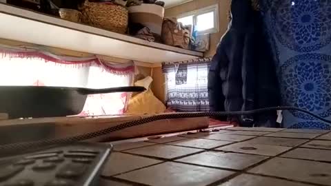 Snapshot of hoodoou chatting on 12/20/25, 07:21 hoodoou online show from 12/20/25, 07:21