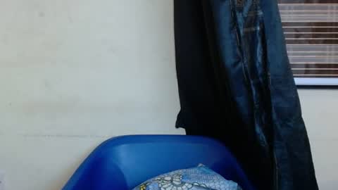 Snapshot of horny4bum chatting on 03/01/25, 07:48 horny4bum online show from 03/01/25, 07:48